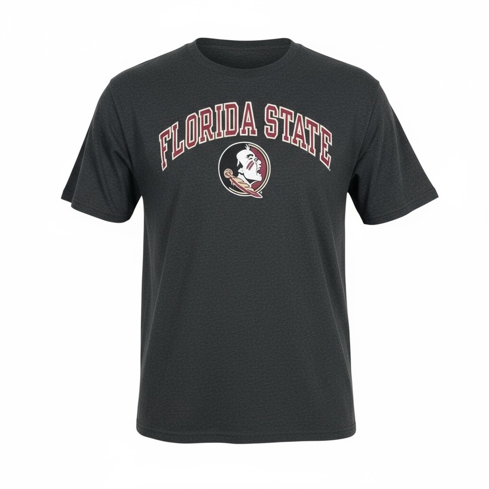 Champion Florida State Tee - Dark Gray, size 2XL